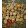 olives vertes siciliennes épicées 200gr env.